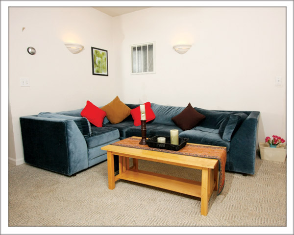 150 Tompkins St. Apartment 2B Living Room